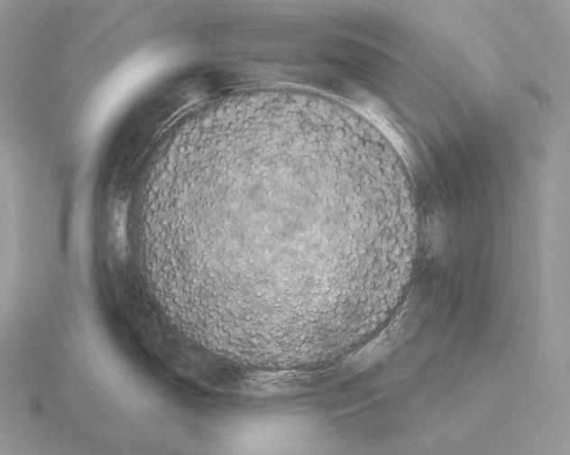 X0000115161150200912081402