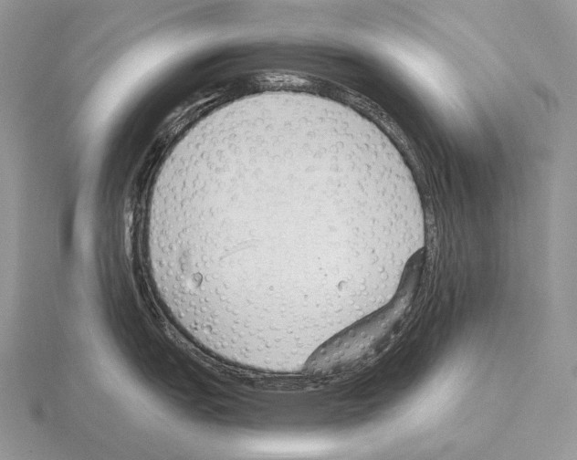 X0000115161151200912081403