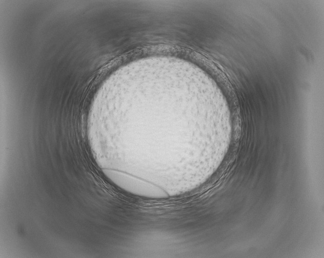 X0000115161156200912081402