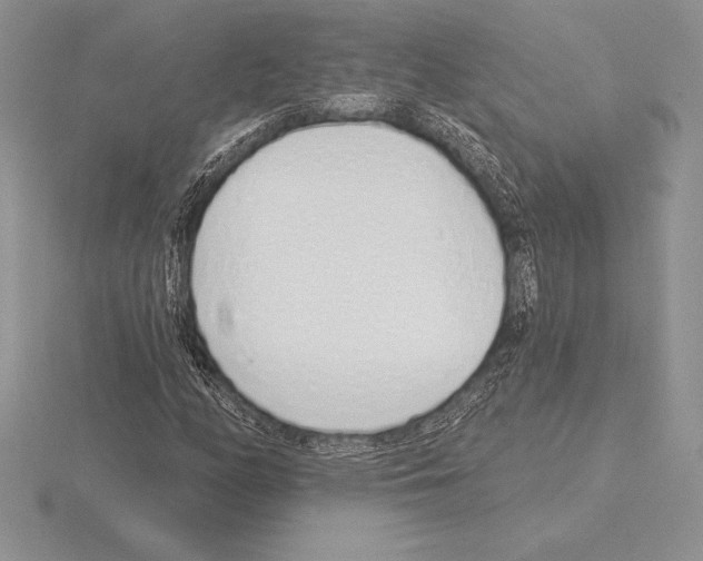 X0000115161158200912081402