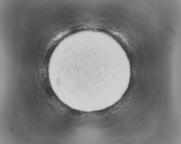 X0000115161159200912081402