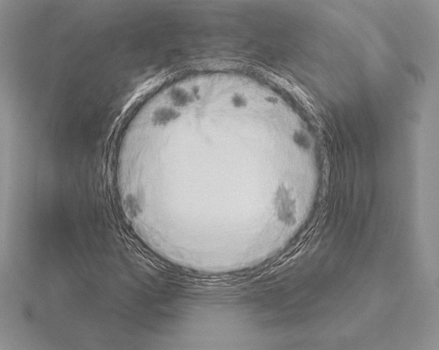 X0000115161160200912081402