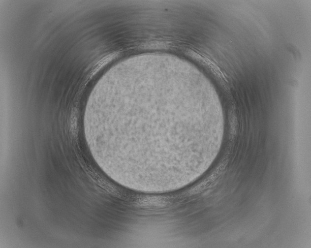 X0000115161162200912081402