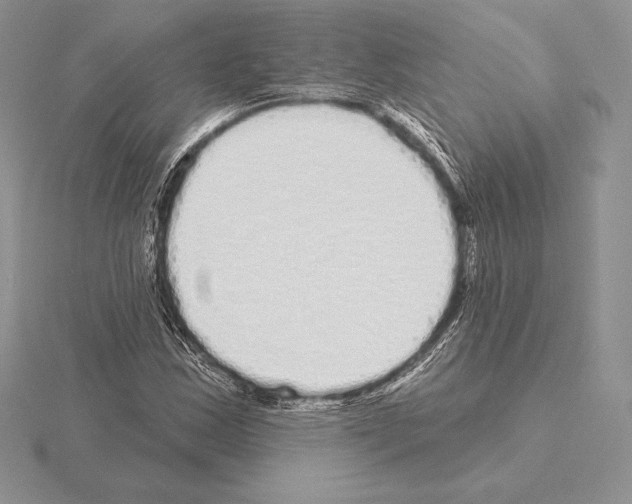 X0000115161163200912081402