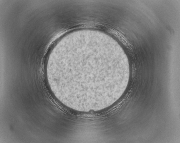 X0000115161164200912081402