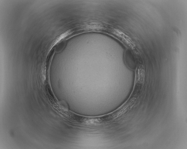 X0000115161165200912081402