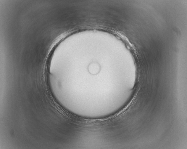 X0000115161167200912081402