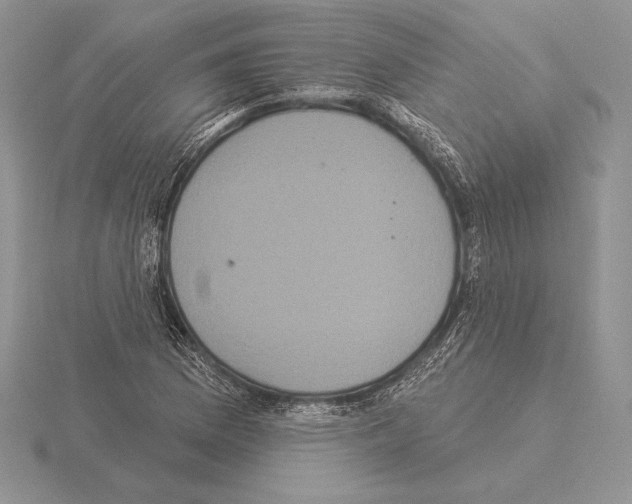 X0000115161169200912081402