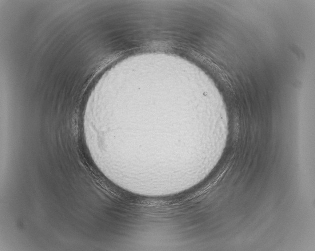 X0000115161170200912081402