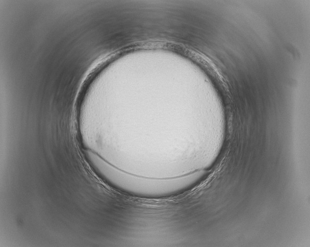 X0000115161172200912081402