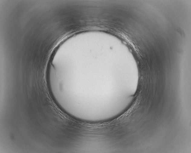 X0000115161173200912081402