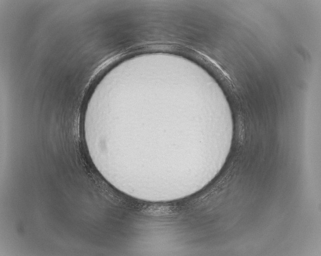 X0000115161174200912081402