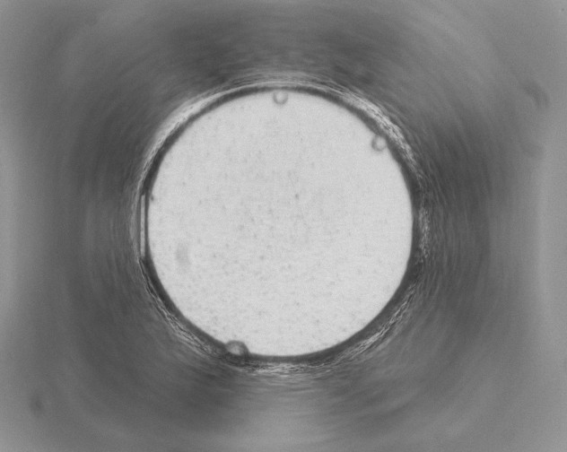 X0000115161175200912081401