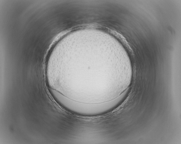 X0000115161176200912081401