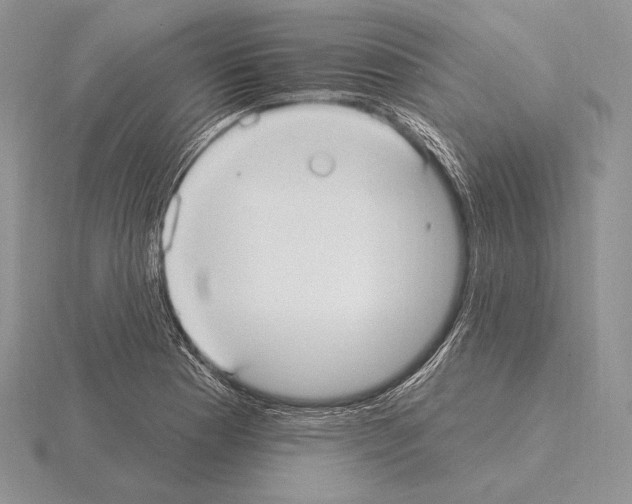 X0000115161177200912081401