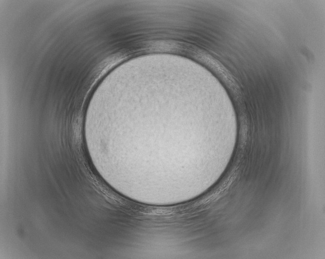 X0000115161178200912081401