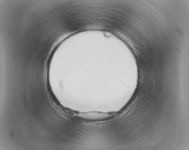 X0000115161179200912081401