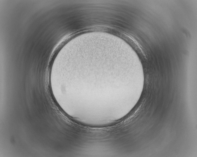 X0000115161180200912081401