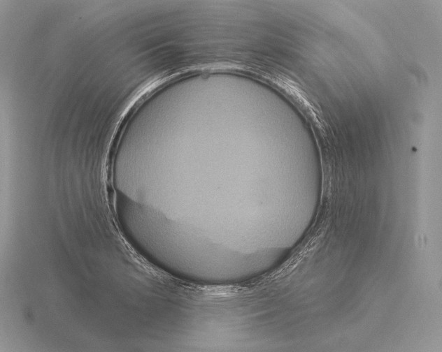 X0000115161181200912081401