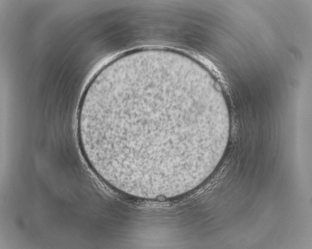 X0000115161183200912081401