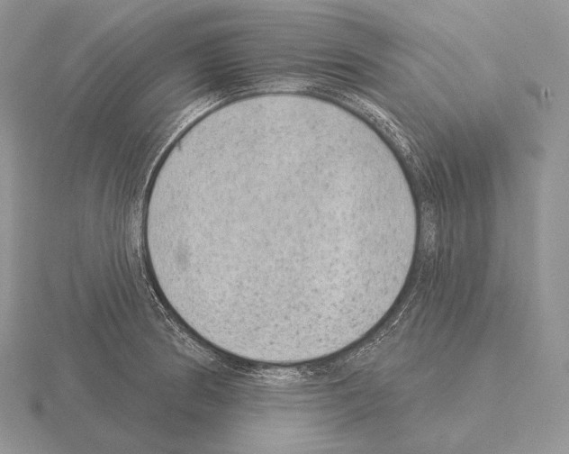 X0000115161186200912081401