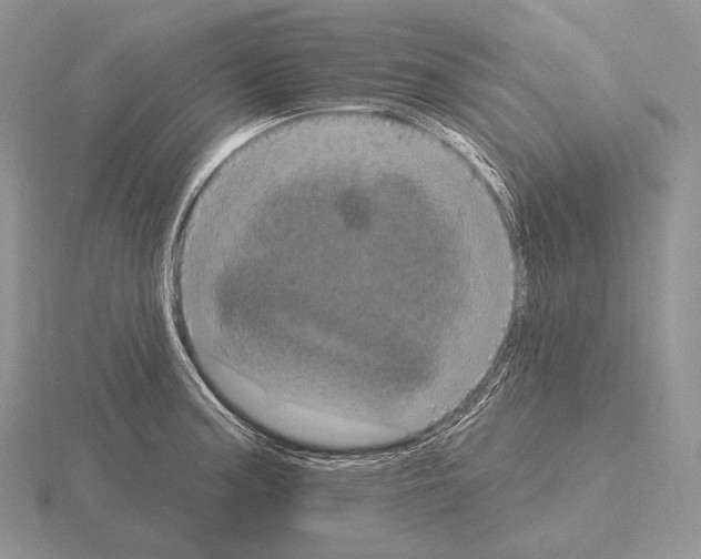 X0000115161187200912081401