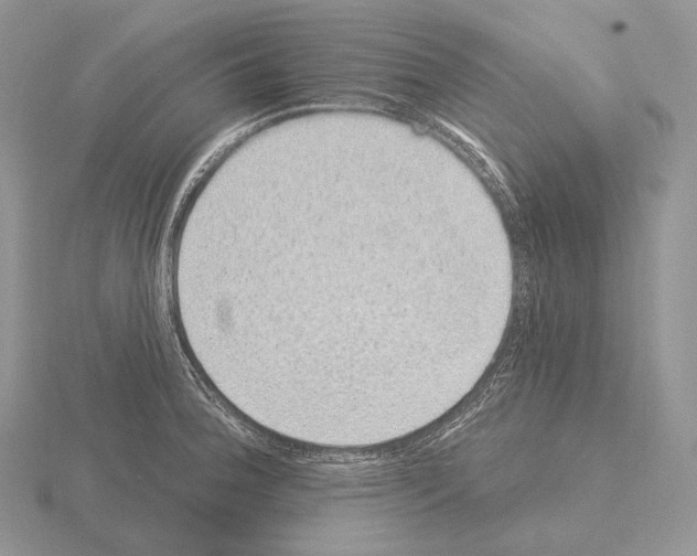 X0000115161188200912081401