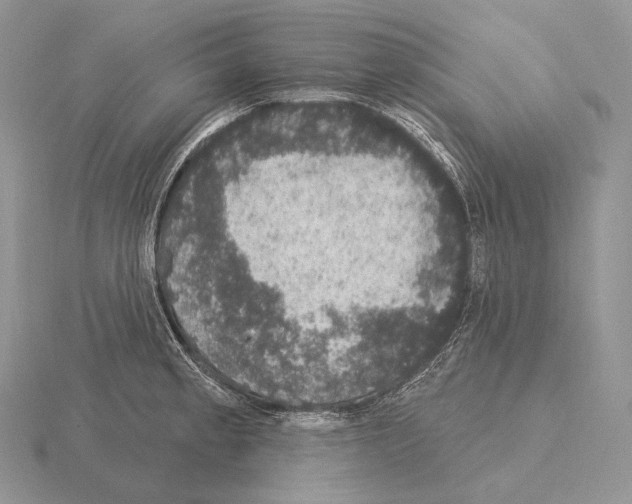 X0000115161189200912081401