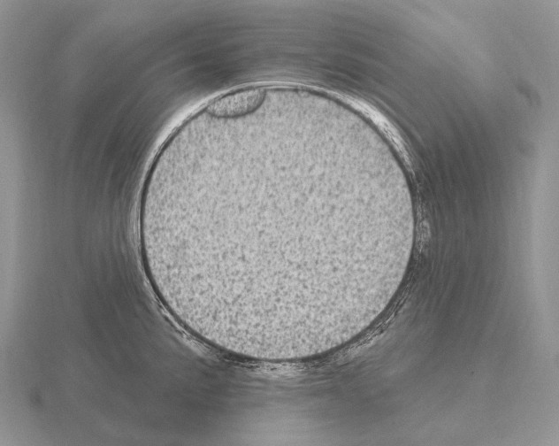 X0000115161191200912081401