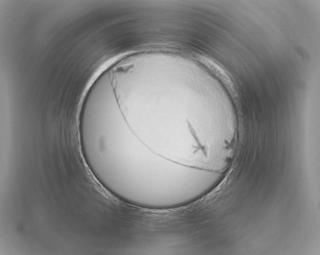 X0000115161192200912081401