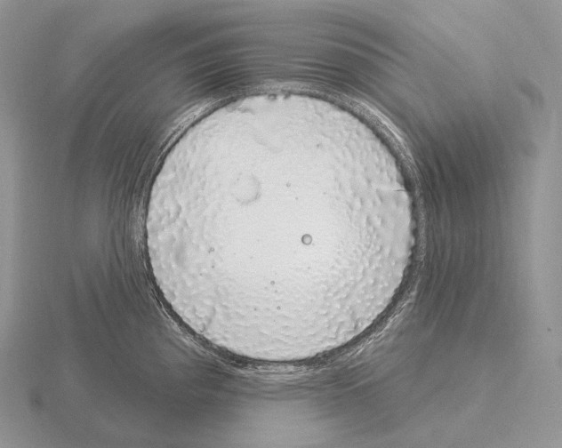 X0000115161193200912081401