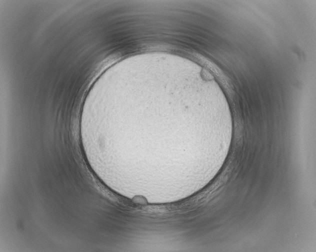 X0000115161194200912081401