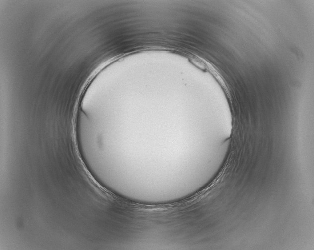 X0000115161195200912081401