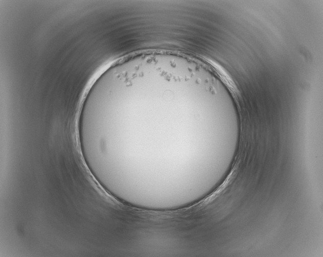 X0000115161196200912081401