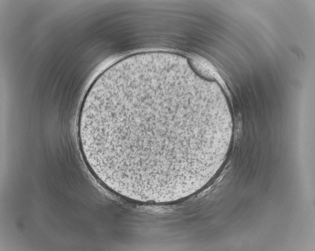 X0000115161197200912081401