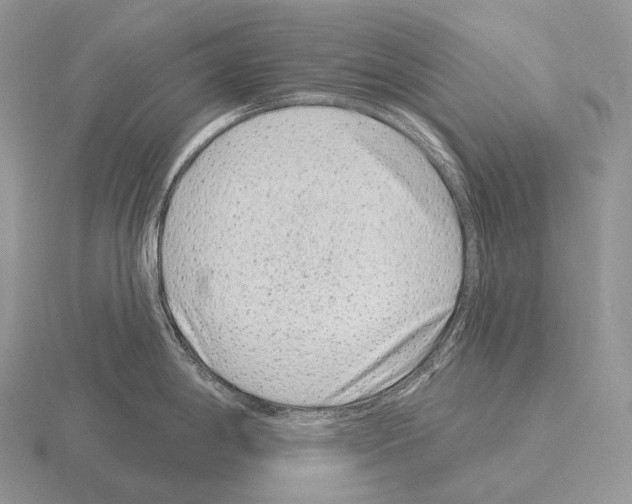 X0000115161198200912081401