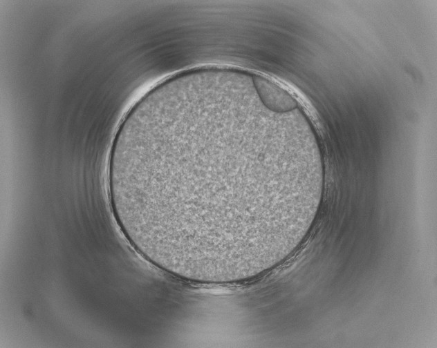 X0000115161199200912081401