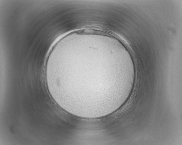 X0000115161200200912081401