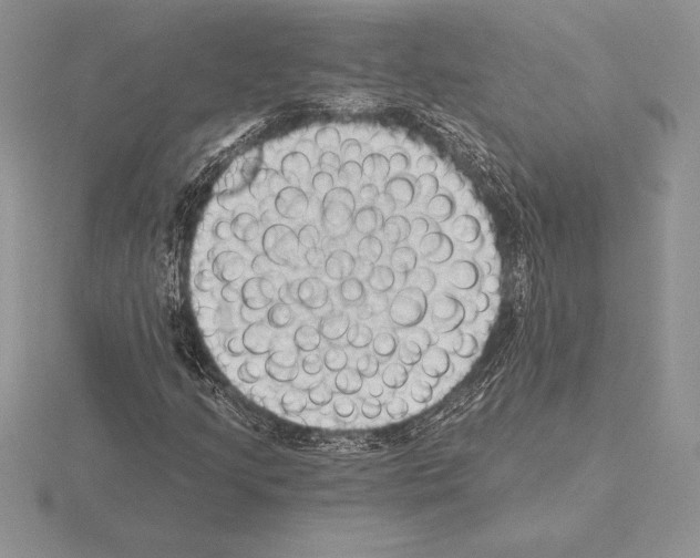 X0000115161205200912081401