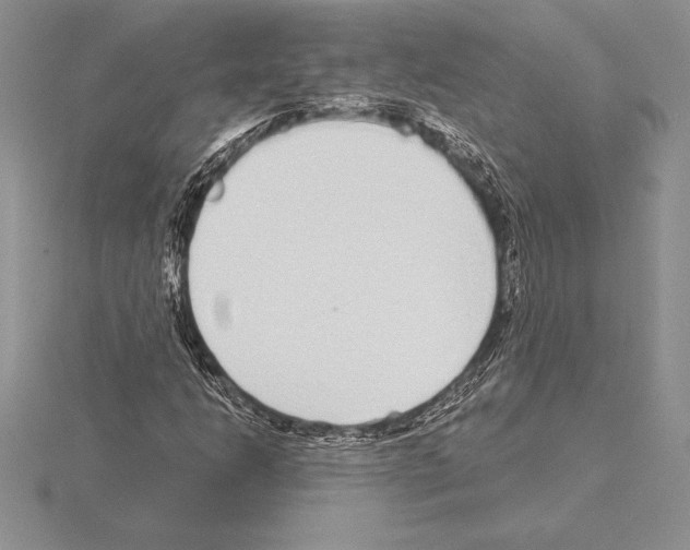 X0000115161206200912081401