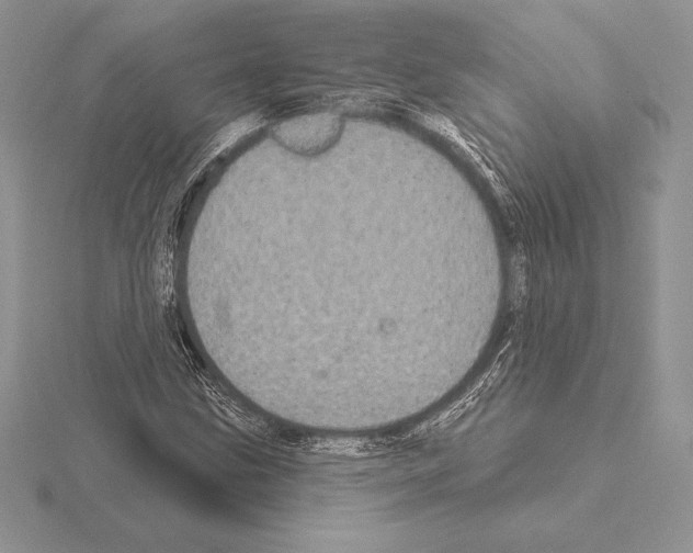 X0000115161211200912081401