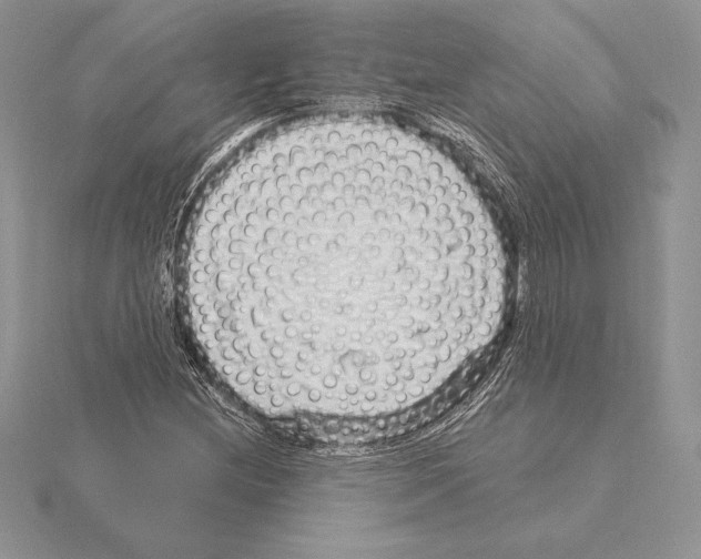 X0000115161212200912081401