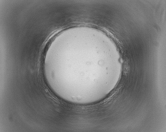 X0000115161215200912081401