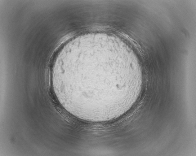 X0000115161219200912081401