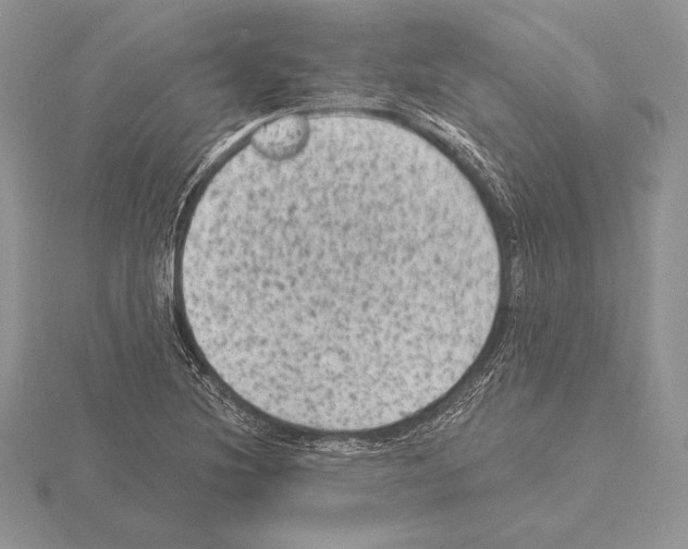 X0000115161220200912081401