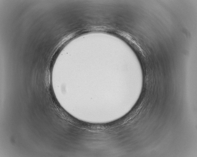 X0000115161221200912081401