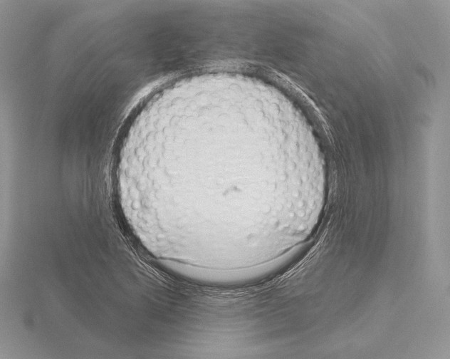 X0000115161222200912081401