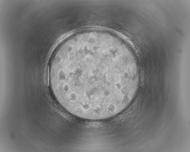 X0000115161223200912081401