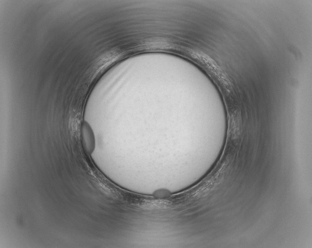 X0000115161225200912081401