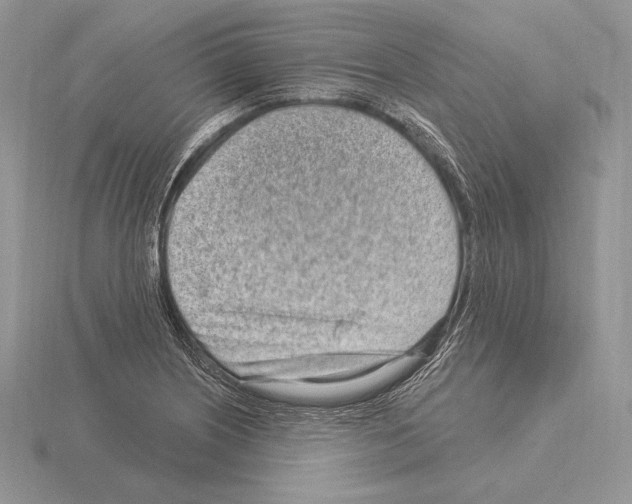 X0000115161226200912081401